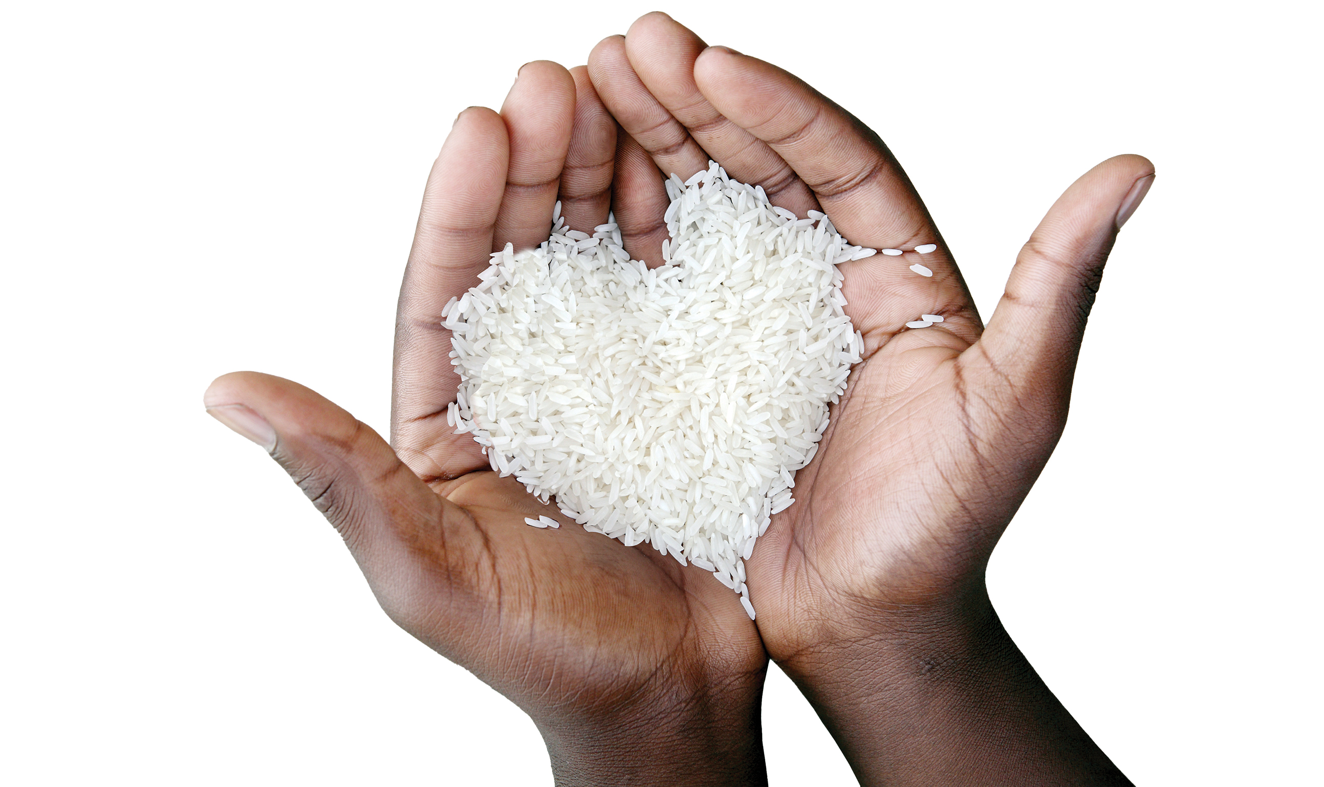 مسابقه قیمت‌ها در بازار برنج