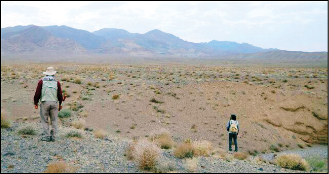 شناسایی 1793قبر تاریخی در یزد