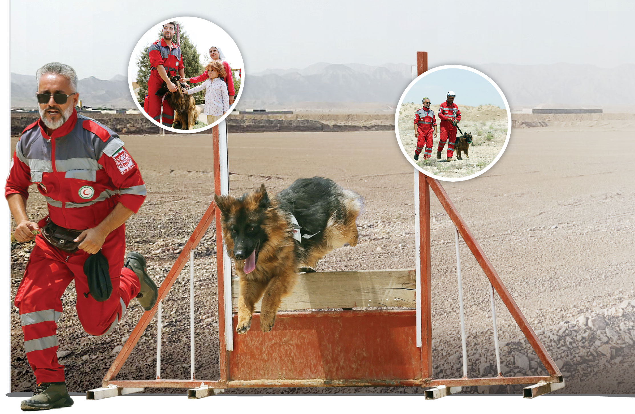 اسرار سگ‌های محبوب