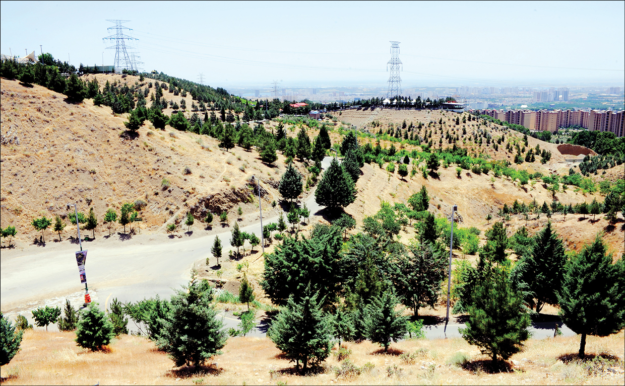 باغ‌راه‌های شهری، محل مناسبی برای گذران اوقات فراغت هستند