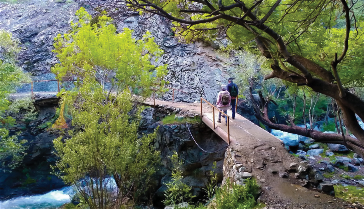 در این تفرجگاه‌ها می‌توانید از هوای جنگل و کوهستان لذت ببرید