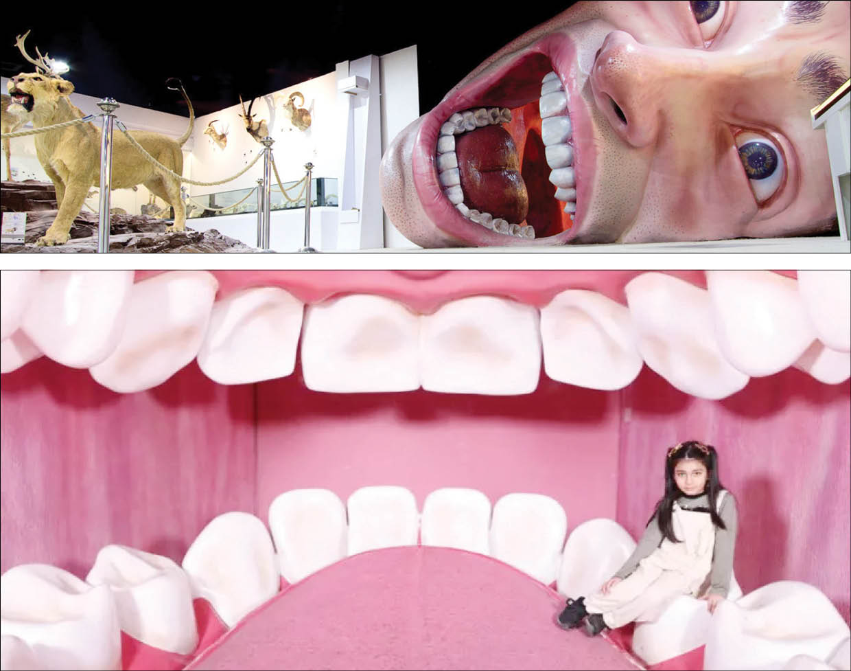 در پارک‌های موضوعی، گردش و آموزش را همزمان تجربه کنید