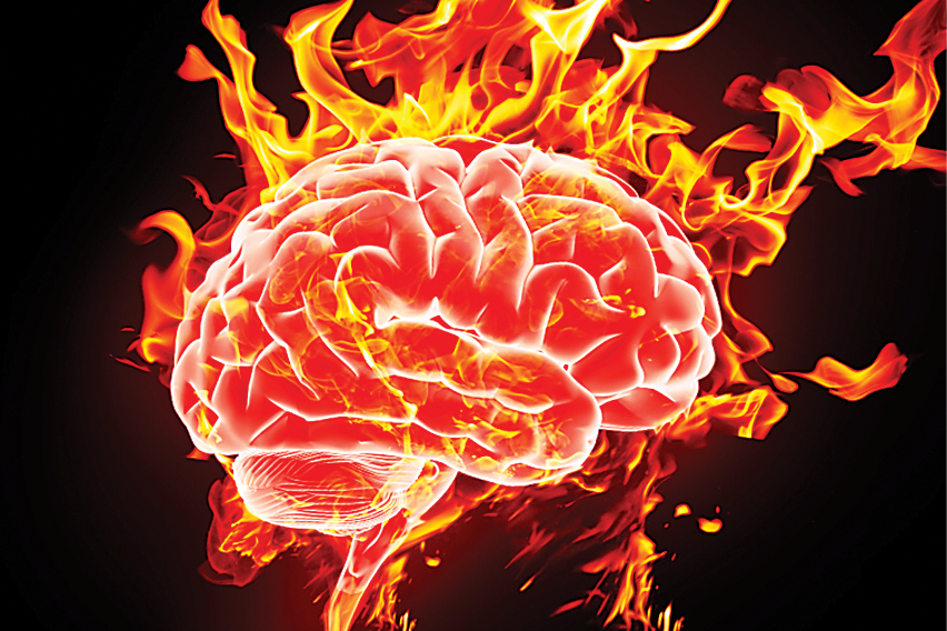 مغزهای داغ کرده!