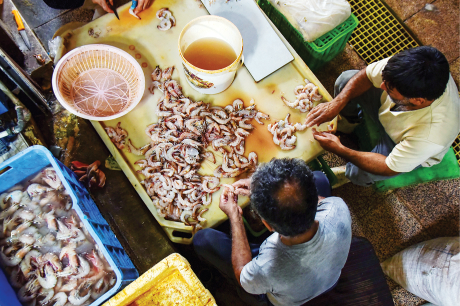 فروش میگو روی لنج
