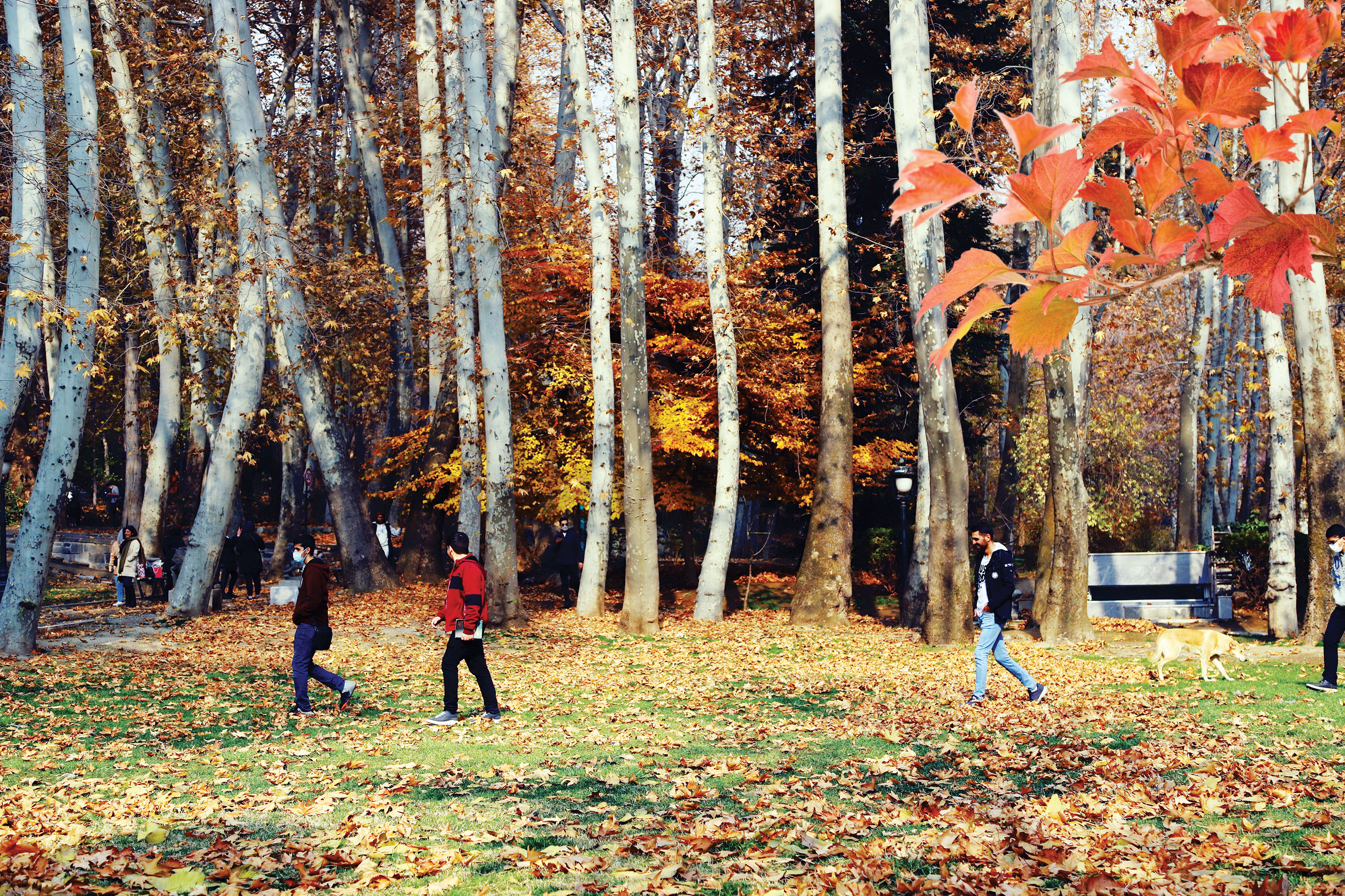 پاییزگردی در پایتخت