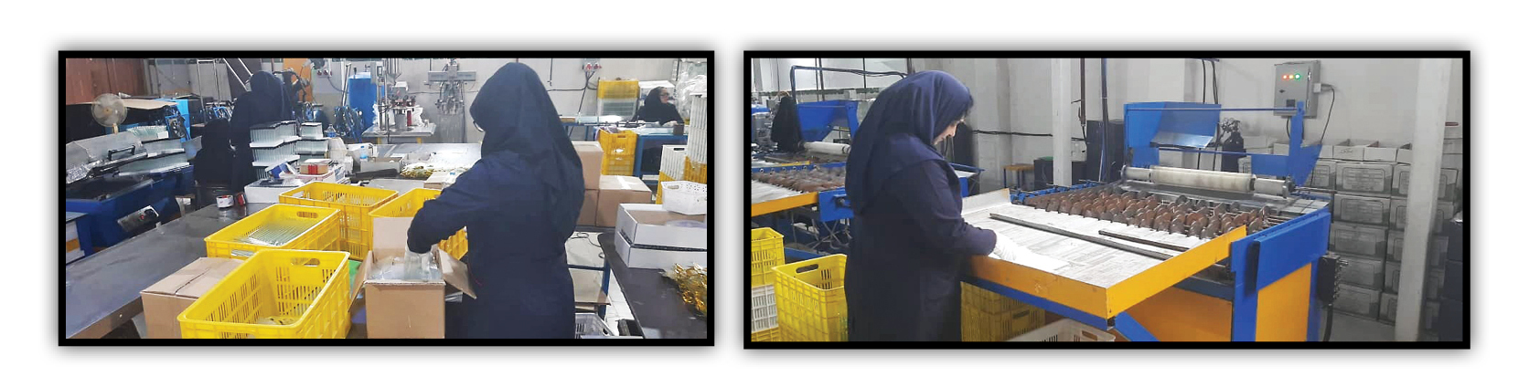 عفومعیاری اخیر باعث آزادی و تخفیف مجازات هزاران نفر از زندانیان در استان‌های مختلف شده است