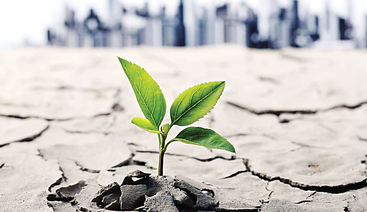 انسان‌ها، قوری‌ها و دیگ‌ها