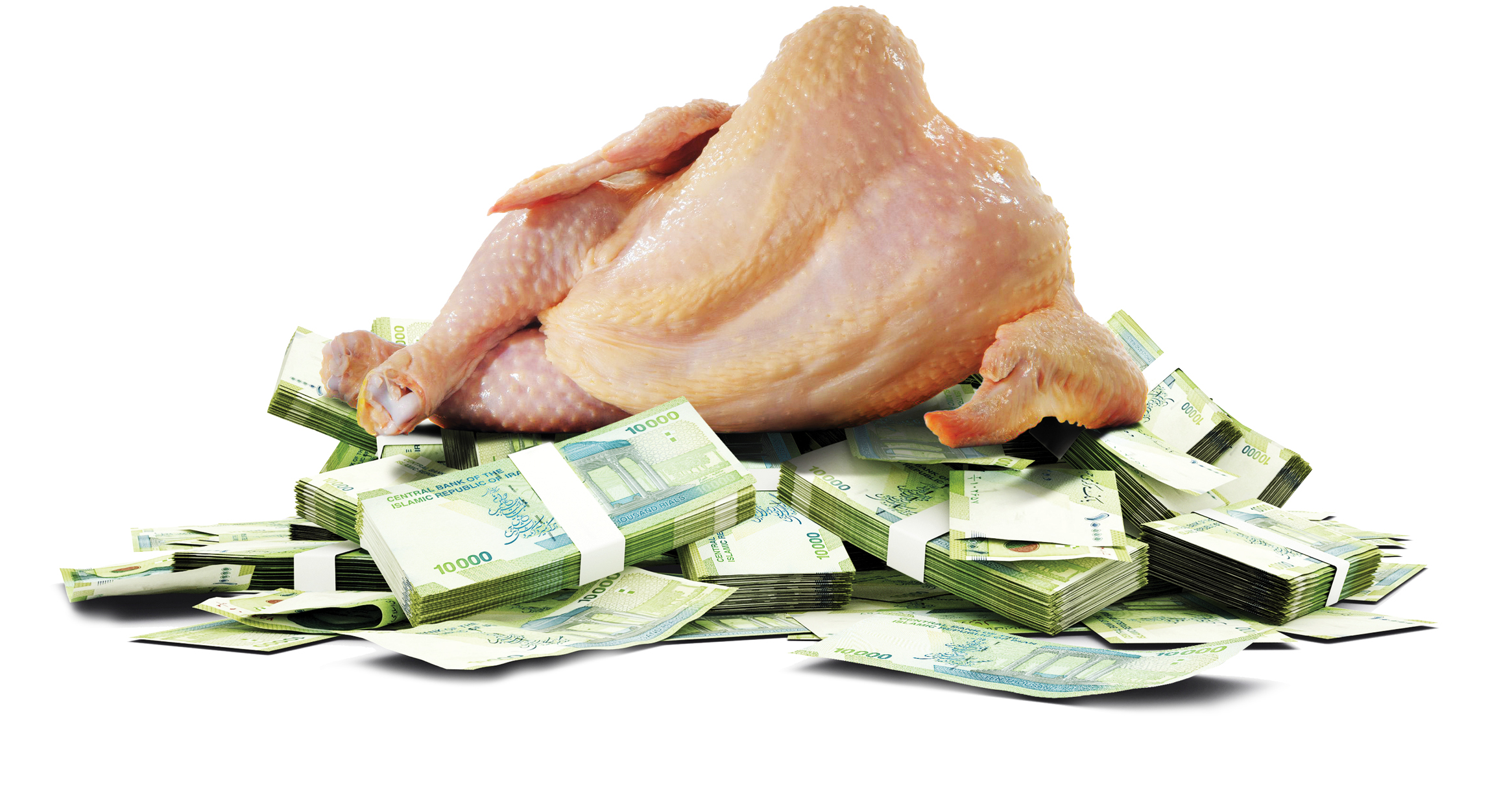 مرغ پرواز می‌کند؟