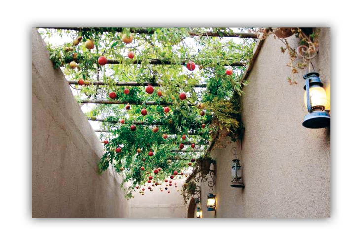 باغ‌هایی با ستاره‌های قرمز