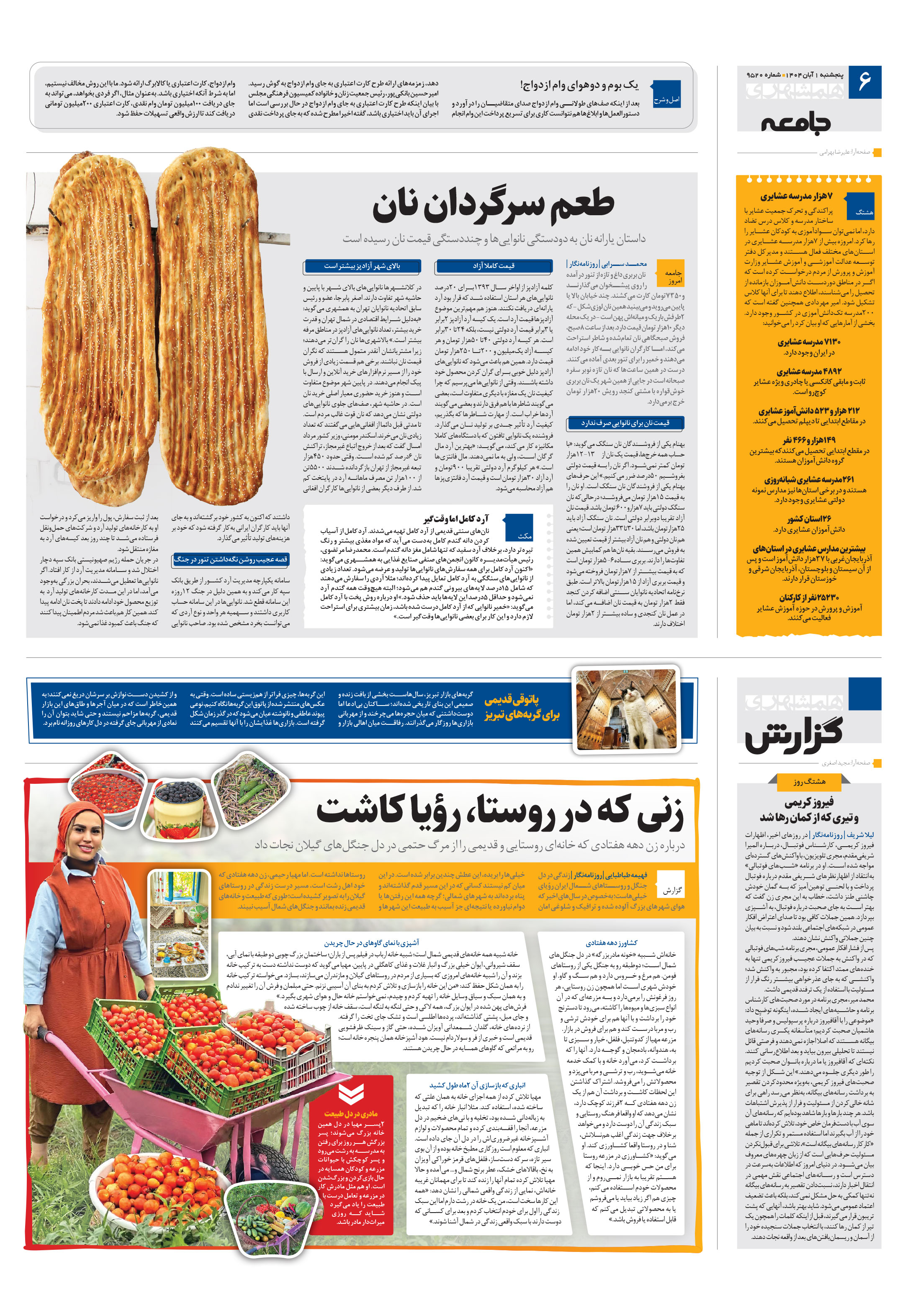 همشهری گزارش