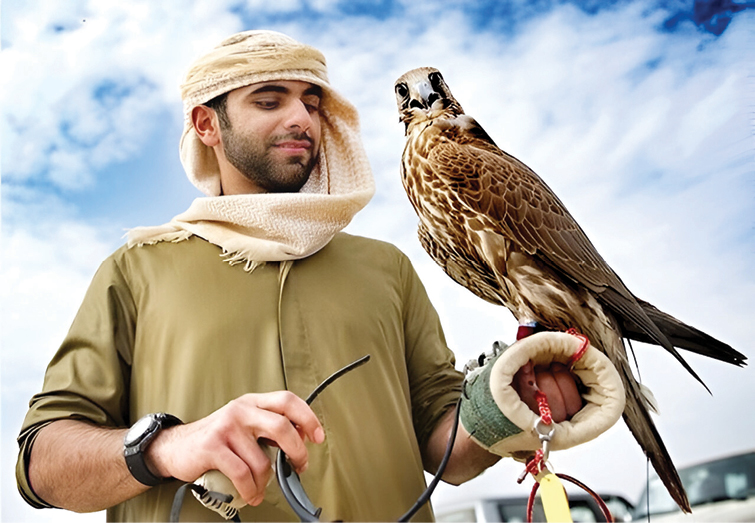 قطر؛ بهشت قاچاقچیان‌حیات‌وحش ‌