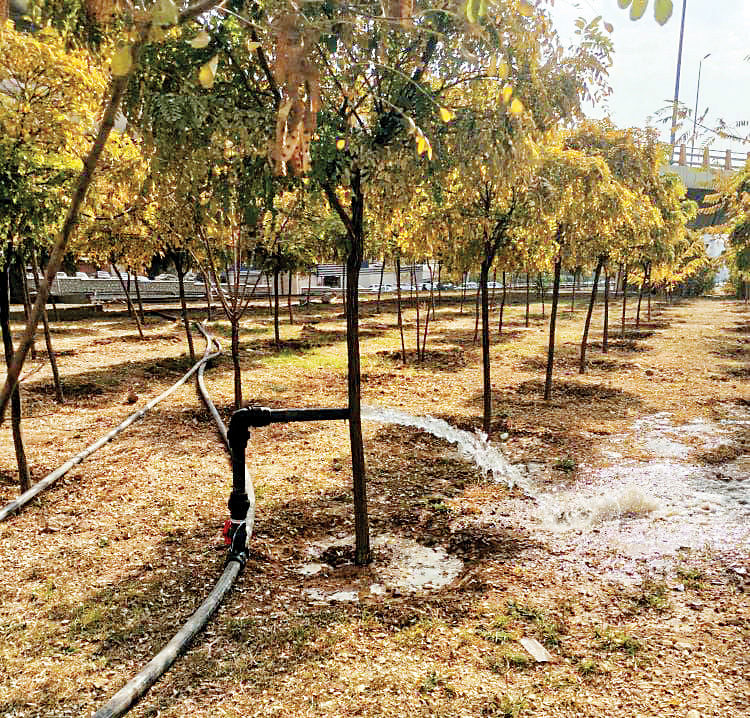 مدیریت بحران آب در شمال تهران