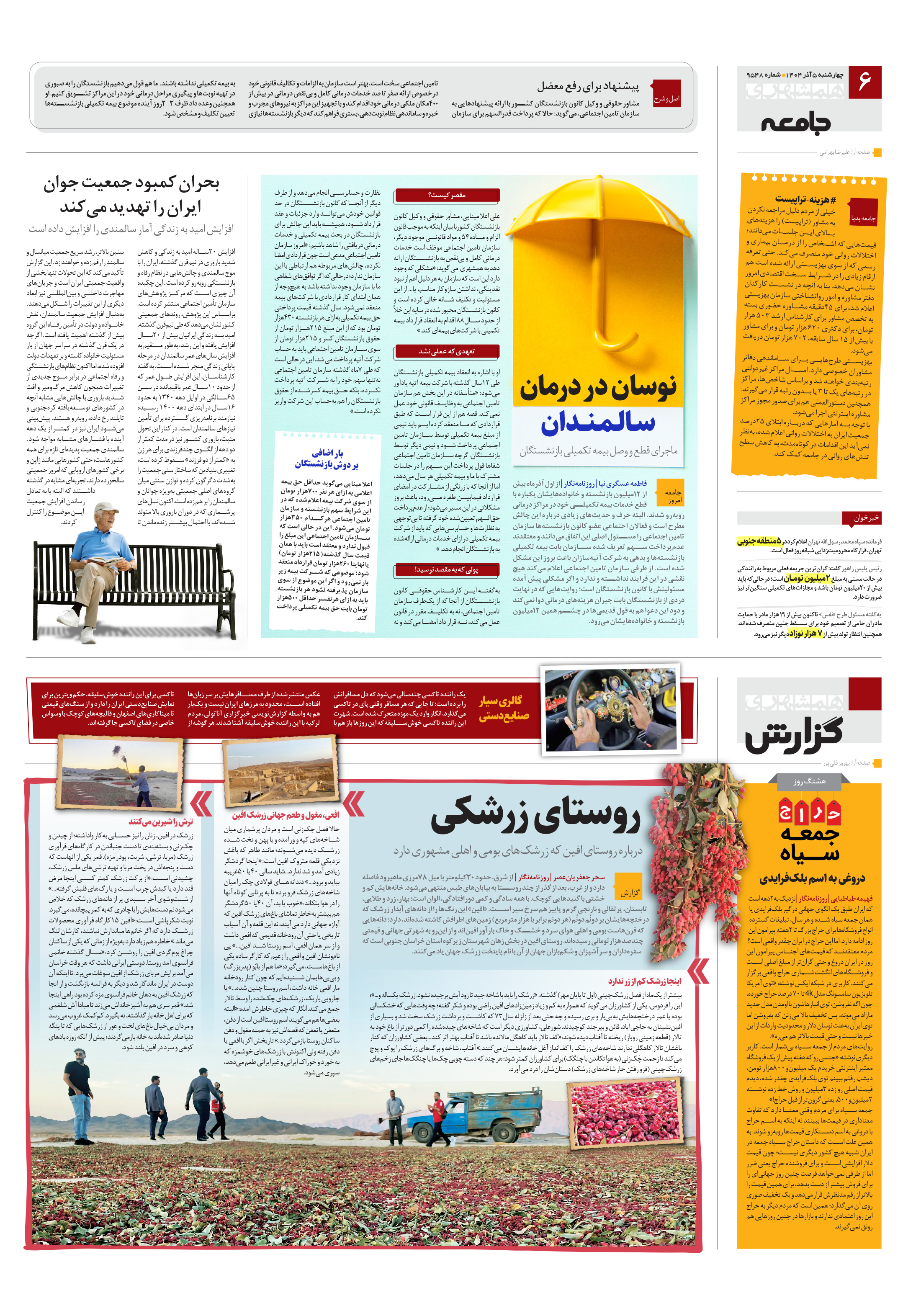 همشهری گزارش