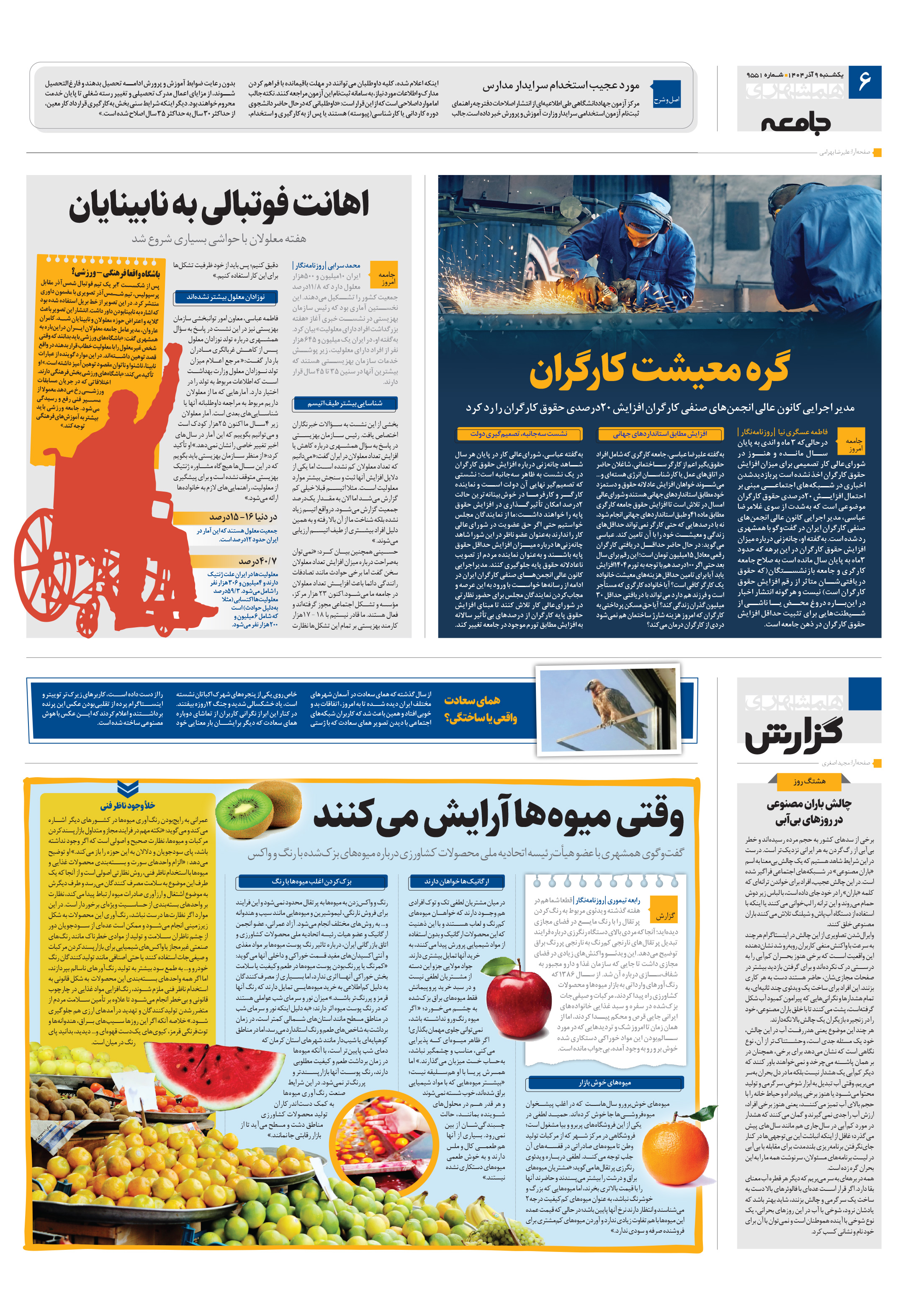 همشهری گزارش