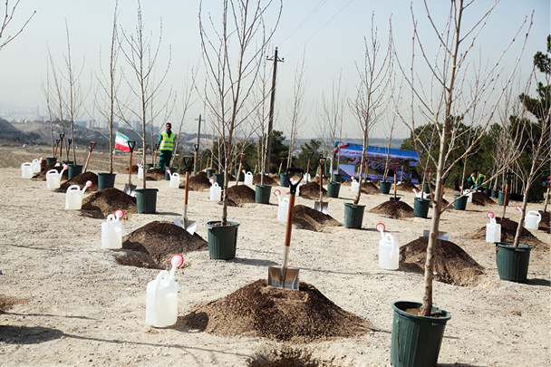 مادر طبیعت!