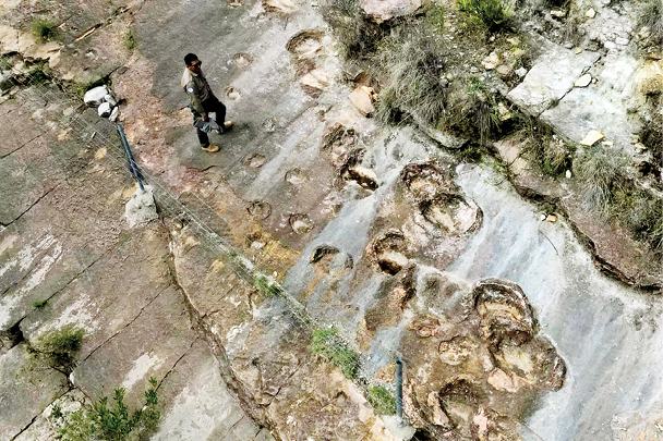 ردپای دایناسورها در بولیوی