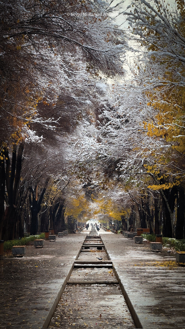 اولین سپیدپوشی فصل نو