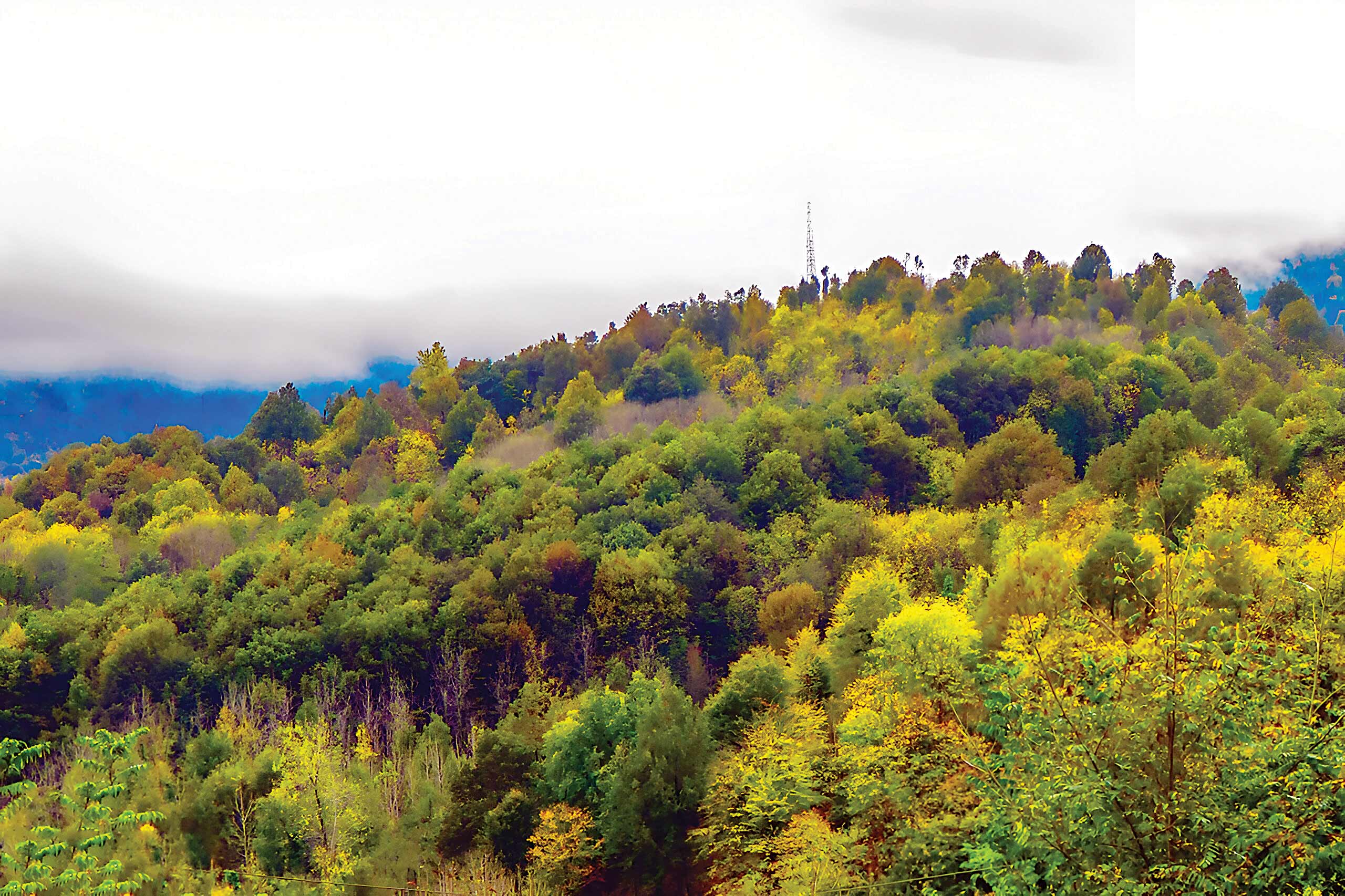دعوای‌ناهارخوران‌
